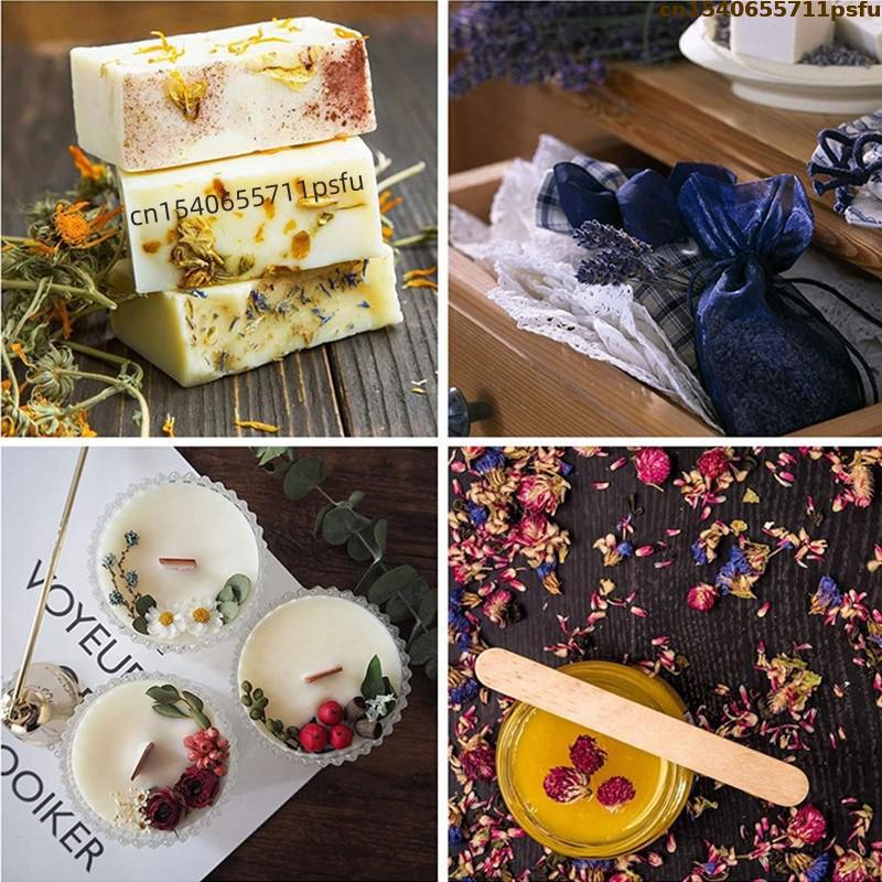 4 Arten hochwertiger natürlich – Candle Making At Home Bewertung und Preis